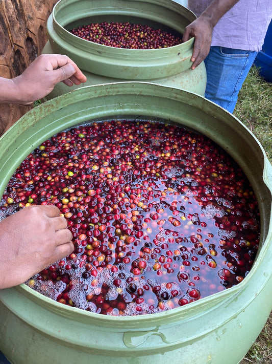 Ethiopia "Barrels 200 hours"