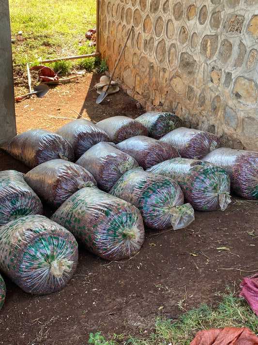 Ethiopia "Sleeping bags"