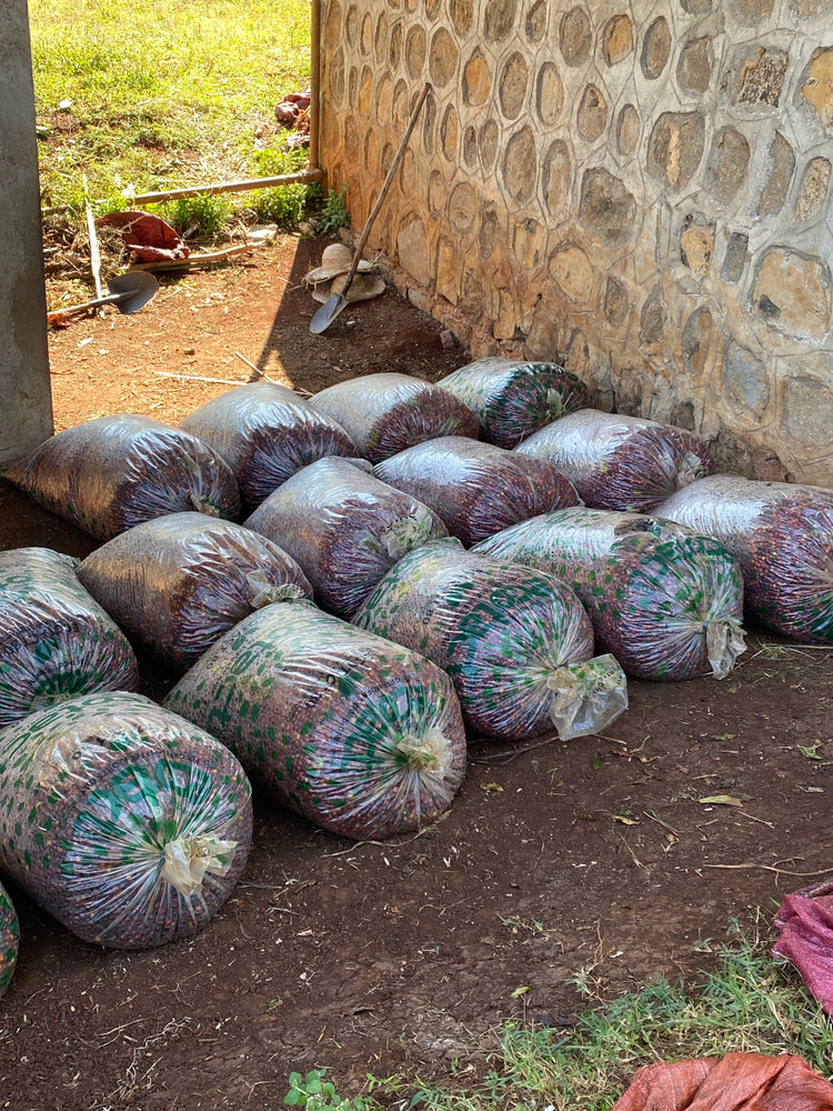 Ethiopia "Sleeping bags"